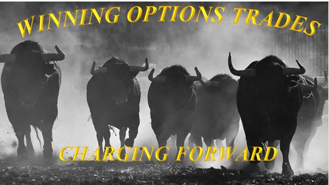 winning-options-trades.JPG winning-options-trades.JPG