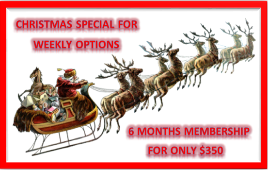 Weekly Options Christmas Membership Special