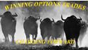 Options Trades 100x, weekly options