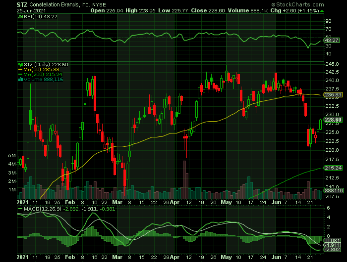 STZ price chart at the time of the documented weekly call trade