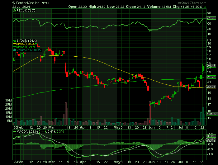 S price chart at the time of the documented weekly call trade