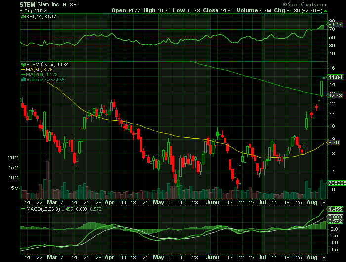 STEM price chart at the time of the documented weekly call trade
