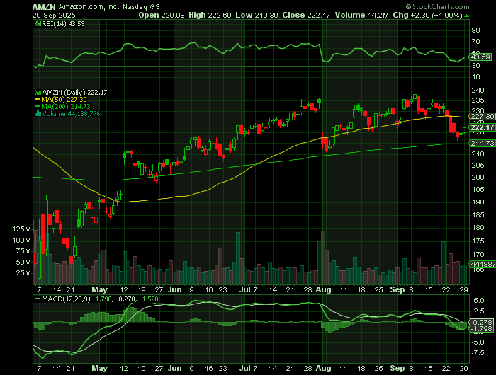 AMZN price chart at the time of the documented weekly call trade