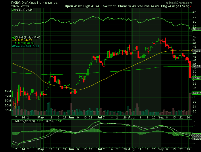 DKNG price chart at the time of the documented weekly call trade