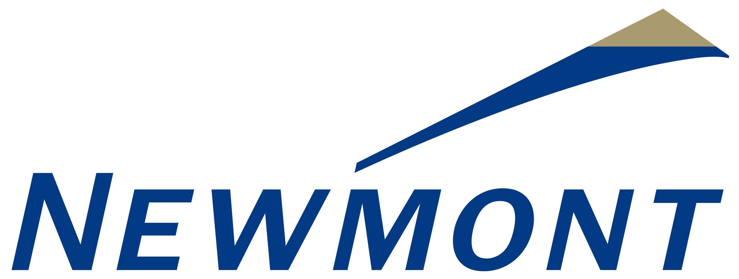 NEM logo